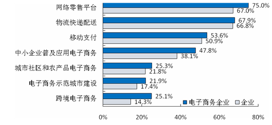 企业和电子商务企业对鼓励电子商务政策落实较好方面的认识